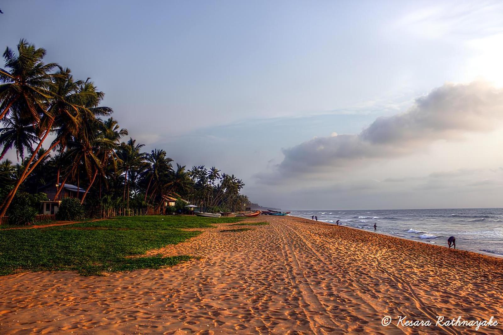 Laya Beach Hotel Wadduwa Exterior foto